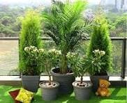 Nursery Image