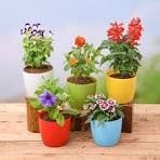 Nursery Image
