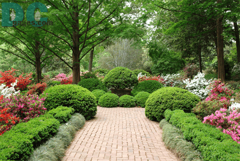 Garden Development