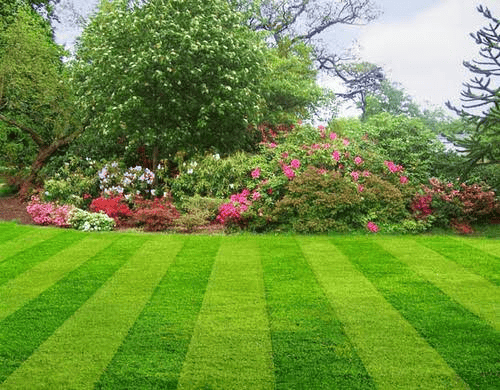 Garden Maintenance