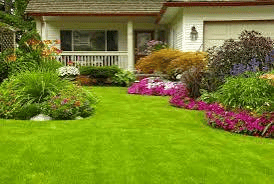 Plantation Services