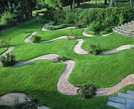 Professional Garden Development & Maintenance