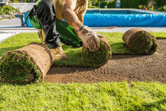 Lawn Development Project