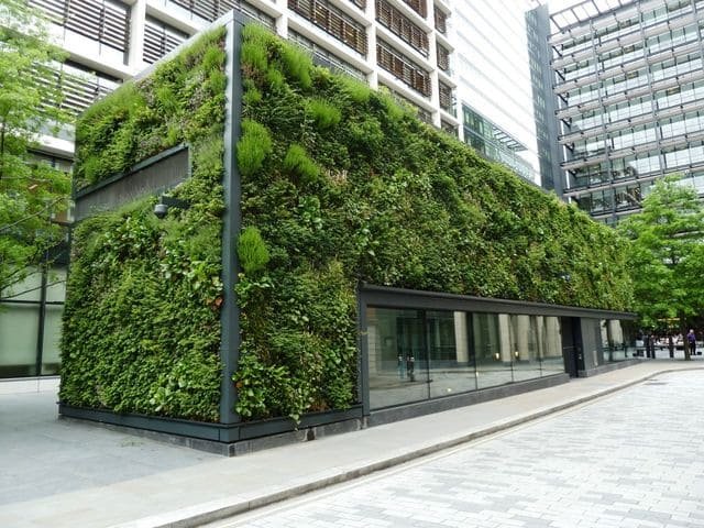 Green Wall Installation