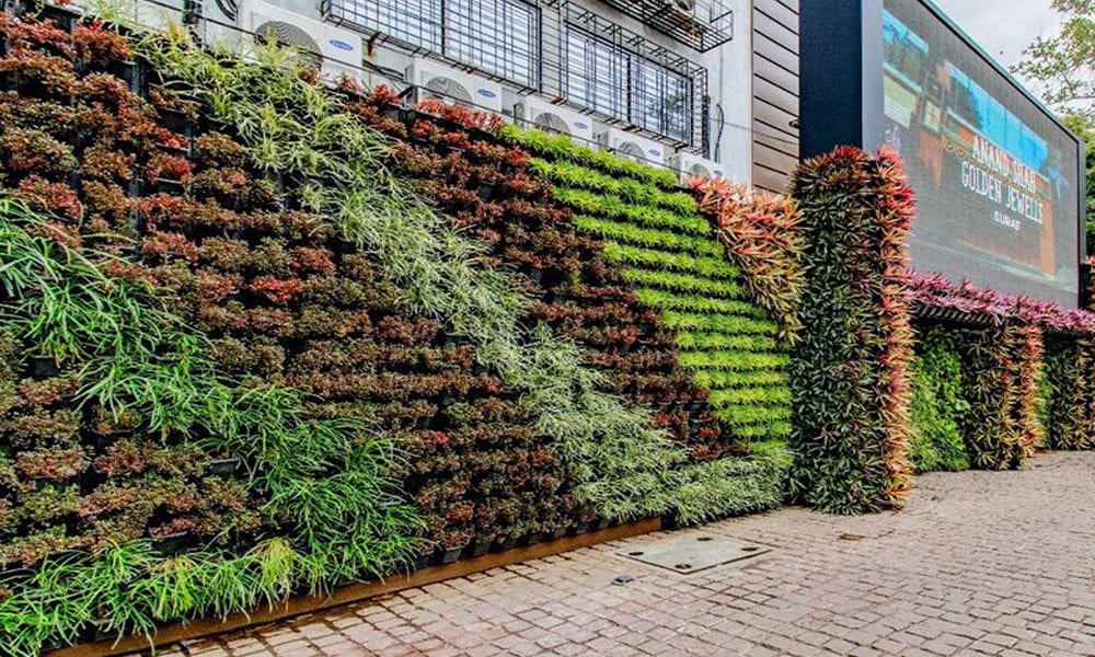 Vertical Garden Maintenance