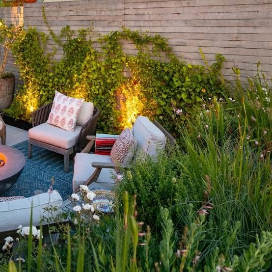 Indoor Living Walls
