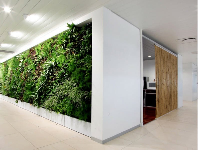 Office Vertical Garden